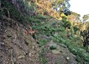 芎林鄉-土地,3060.1坪