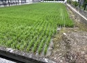 宜蘭市-土地，336.4坪