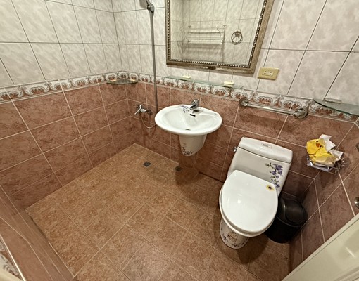 農十六凹子底黃金店面 - Image 8