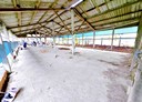 路竹區-新民路土地，200坪