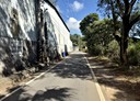 林口區-菁埔路廠房，110坪