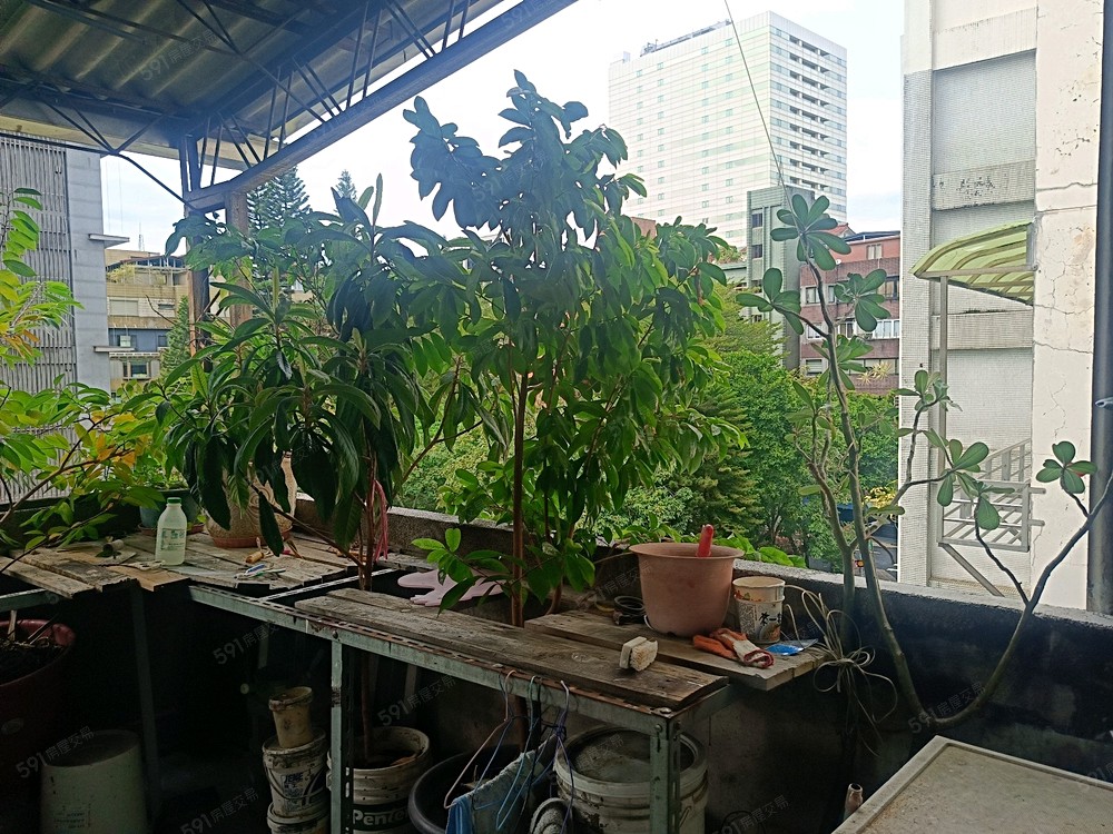 照片