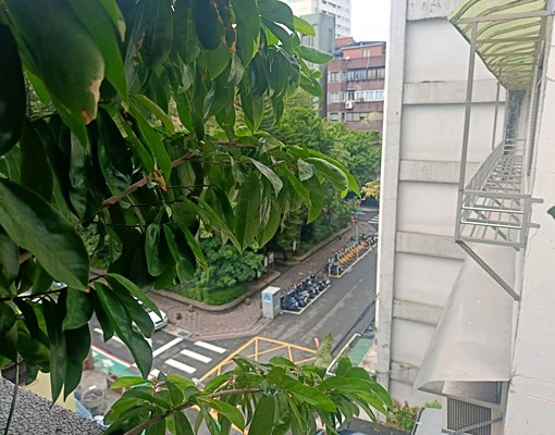 雅房出租、近台灣大學、台北教育大學、科技大樓捷運站 - Image 3