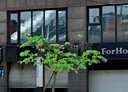 淡水區-北新路開放式格局，24.2坪