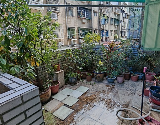 正環河公園旁寧靜樹海超大露臺家庭全設備 - Image 4