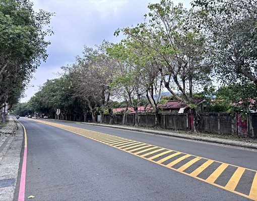 中興新村仁政街透天角間店住 - Image 2