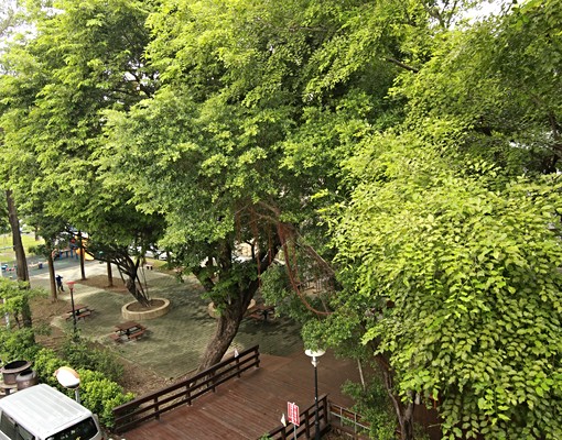 【喬居】六合路－面公園.日立變頻｜可開發票可租補 - 591租屋網 - Image 10