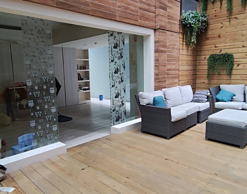 嘉暘/免仲/可補助/觀音三房車 - Image 14