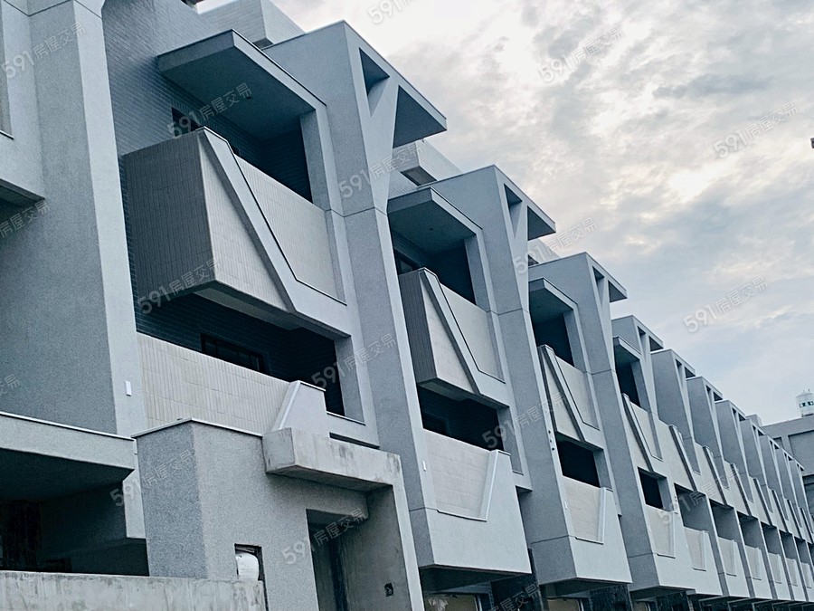 霖宏-大墅武極2實景圖