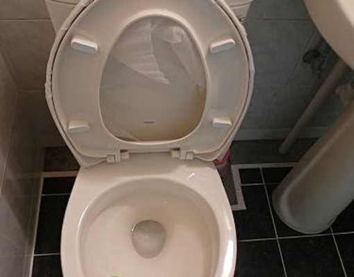 可寵❤電費1度2.1元❤可租補❤冷暖氣❤網路 - Image 14