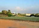 大樹區-土地,589.6坪