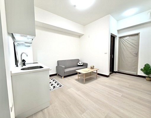 🔥首選桃園全新一房一廳|可補助/可寵/有電梯/陽台獨洗 - Image 1