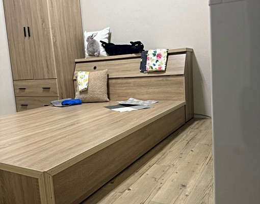 秒殺!東區蛋黃商圈!日式風獨戶優雅大套房。台水台電 - 591租屋網 - Image 2