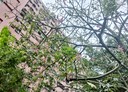 楠梓區-德民路4房2廳,35.3坪