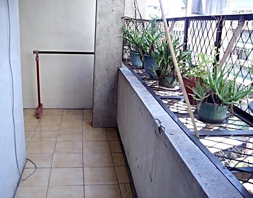 頂溪2分鐘.靜巷大三房.明亮通風.前後陽台.網路傢俱家電 - 591租屋網 - Image 13