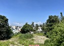 關廟區-關新路一段土地,1599.4坪