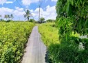歸仁區-土地，595.6坪