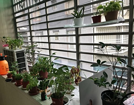 民利街學區房（靜巷）免佣 - Image 13