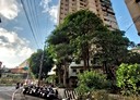 八德區-介壽路二段2房2廳，35.7坪