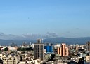 林口區-文化二路二段開放式格局，97坪
