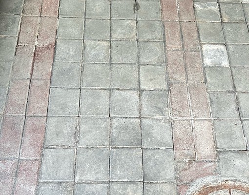 🗿📣安平區電梯大樓🉑租補🉑戶籍🉑短租半年含車管🗿 - Image 14