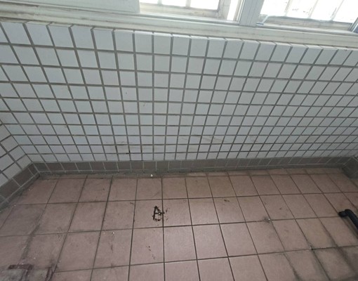 大園區福德路電梯華夏獨套 - Image 8