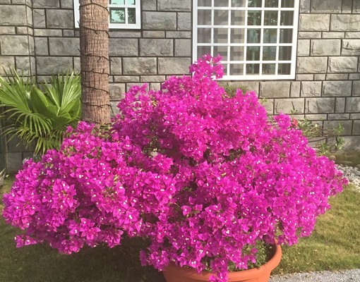 寧靜渡假風套房近南科(能配合不在室內抽煙歡迎看屋喔) - Image 15