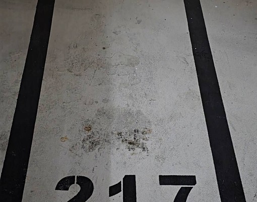 🦈「意志力嚴選|梧棲佳鋐新邑|可寵電梯大樓・含平面車位」 - 591租屋網 - Image 15