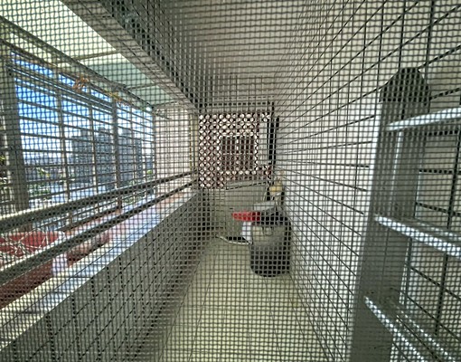 中壢SOGO海華商圈A21捷運中壢夜市旁電梯三房 - 591租屋網 - Image 9