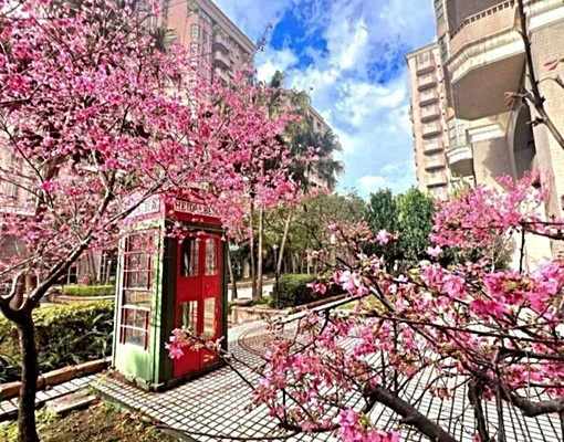 專租~南屯捷運站旁~大4房平車~近秀泰百貨~住在公園裡的家 - Image 11