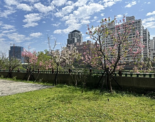 生活大國*二改一房~可開伙附家具家電 - 591租屋網 - Image 2