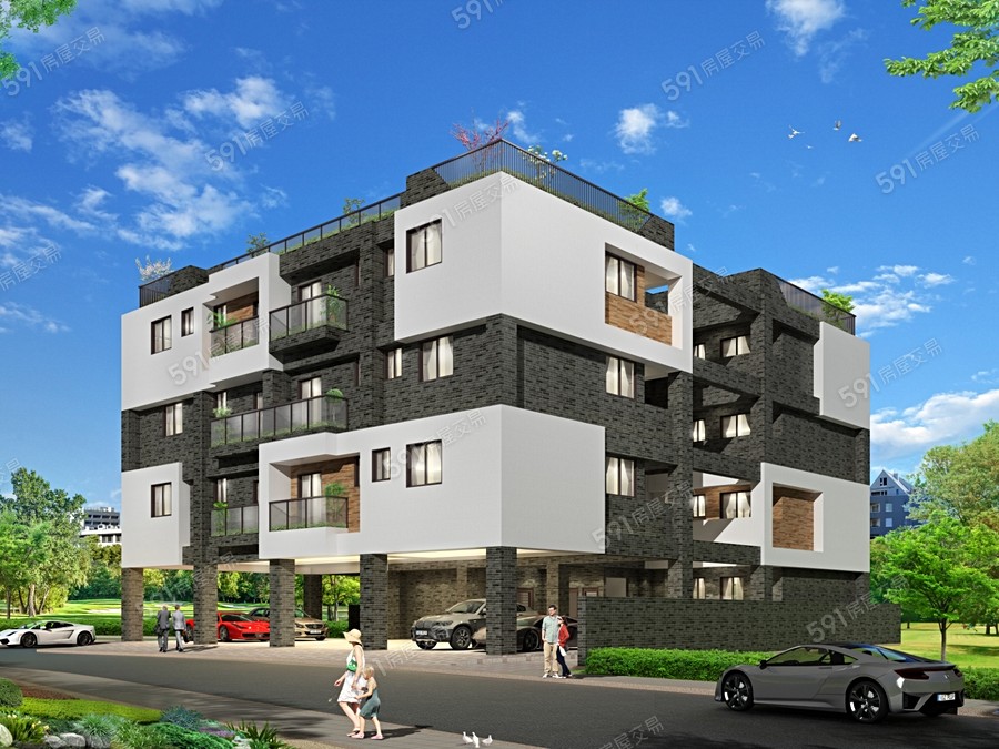 鑫日麗芋見封面圖