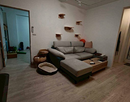 ❤️景安｜可租補｜寵物友善｜天然瓦斯｜獨立洗衣陽台｜可炊 - 591租屋網 - Image 4