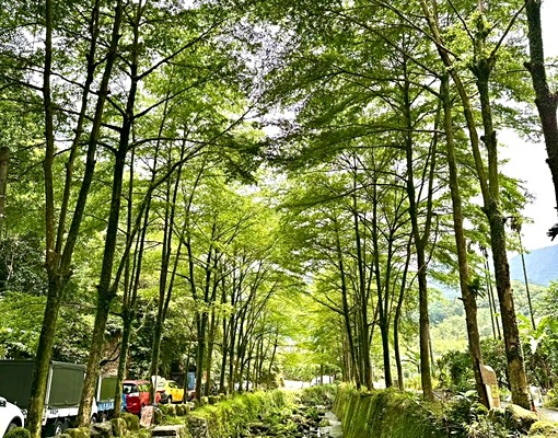 🌈可租補🍎星野之森1房🍎車位可另租 - 591租屋網 - Image 11