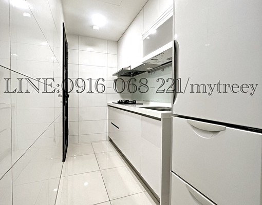 電梯景觀2房:無限棟距:台水台電:寵物友善:陽台:汽車位 - Image 13