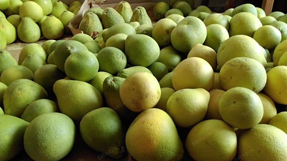 果實纍纍且香甜