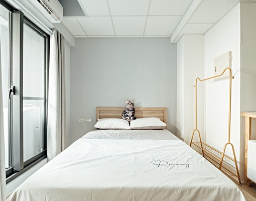 新興區，貓宅出租套房，可養貓、租金補助 - Image 3