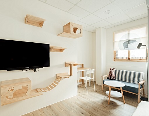 新興區，貓宅出租套房，可養貓、租金補助 - Image 8