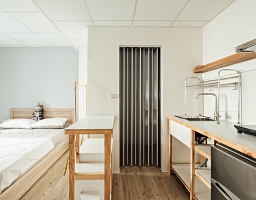 新興區，貓宅出租套房，可養貓、租金補助 - Image 2