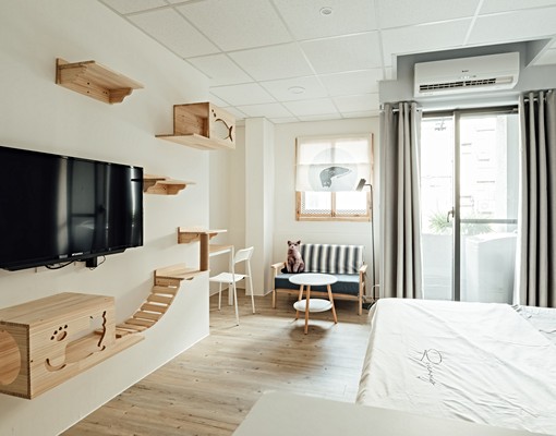 新興區，貓宅出租套房，可養貓、租金補助 - Image 4