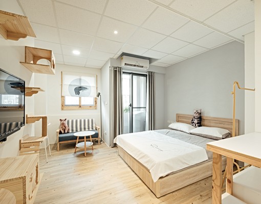 新興區，貓宅出租套房，可養貓、租金補助 - Image 6