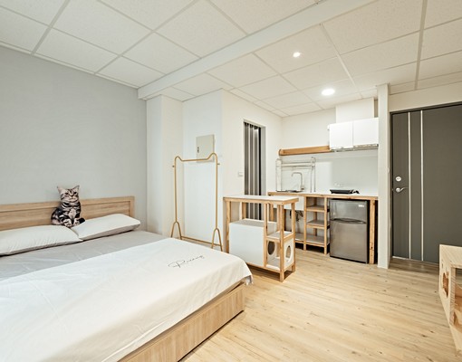 新興區，貓宅出租套房，可養貓、租金補助 - Image 10