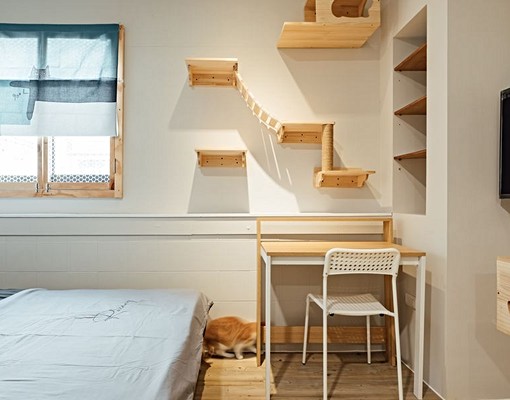 新興區，貓宅出租套房，可養貓、租金補助 - Image 12