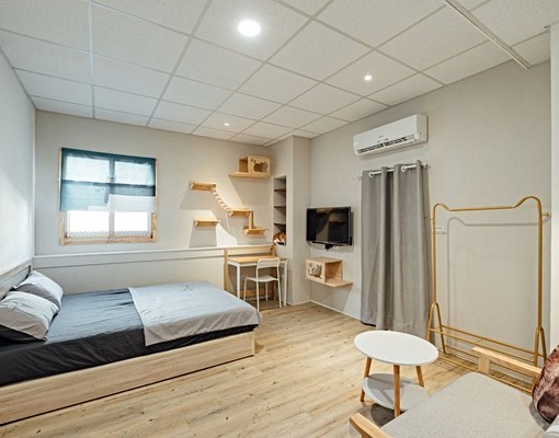 新興區，貓宅出租套房，可養貓、租金補助 - Image 14