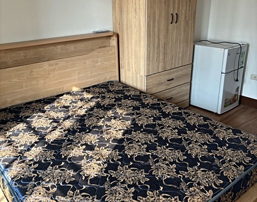 優質新套房，限女性，獨立洗衣機 - Image 3