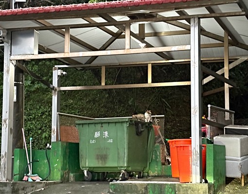 夏綠蒂社區套房出租 - Image 7