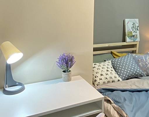 近南紡夢時代新裝潢家具(租補後6000元) - Image 3