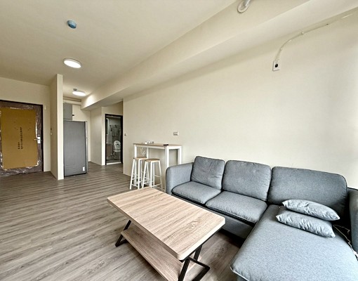 🥇可租補｜全新未住｜近童綜合、OUTLET｜拎包入住｜ - Image 1