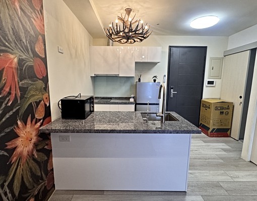 ✨近桃園樂天棒球場兩房✨可租補✨可養貓✨超美設計師裝潢 - Image 14