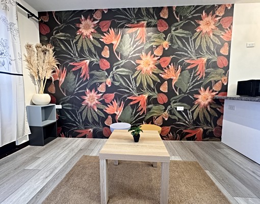 ✨近桃園樂天棒球場兩房✨可租補✨可養貓✨超美設計師裝潢 - Image 7